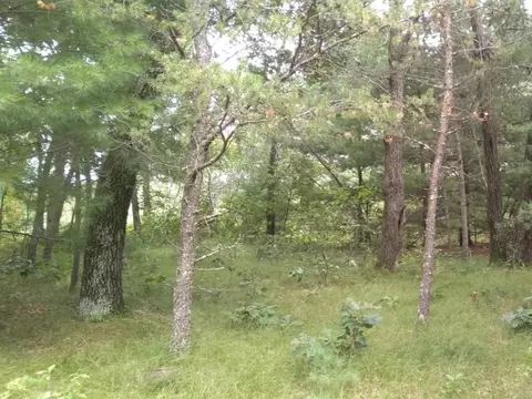 462 Duffers Trl, Nekoosa, WI 54457