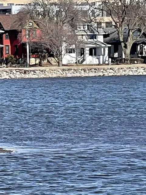 135 S Brittingham Pl, Madison, WI 53715