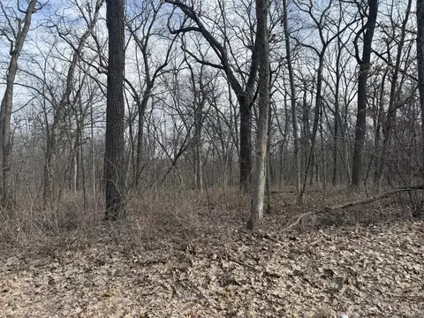 2 Acres Biggs Rd, Argyle, WI 53504