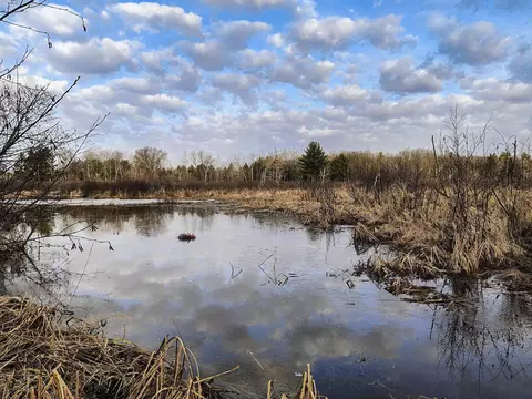 7223 County Highway V, Marshfield, WI 54449