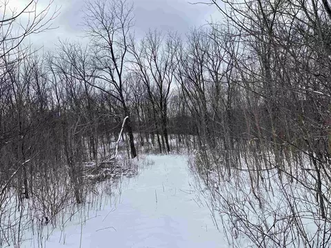 79 Acres Byers Rd, Boscobel, WI 53805 photo 11