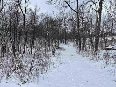 79 Acres Byers Rd, Boscobel, WI 53805 photo 13