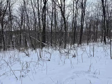 79 Acres Byers Rd, Boscobel, WI 53805 photo 10