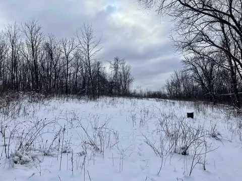 79 Acres Byers Rd, Boscobel, WI 53805 photo 15