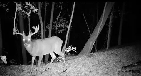 79 Acres Byers Rd, Boscobel, WI 53805 photo 20
