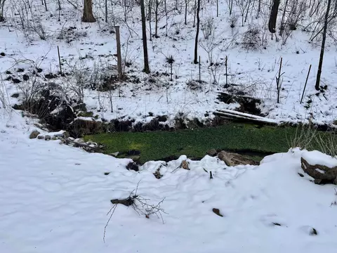 79 Acres Byers Rd, Boscobel, WI 53805 photo 16