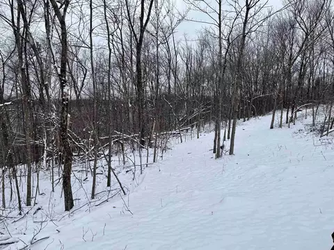 79 Acres Byers Rd, Boscobel, WI 53805 photo 7