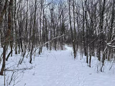 79 Acres Byers Rd, Boscobel, WI 53805 photo 17