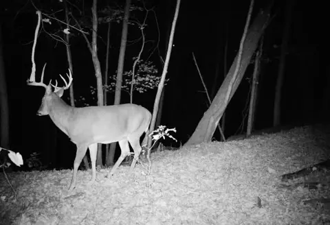 79 Acres Byers Rd, Boscobel, WI 53805 photo 21