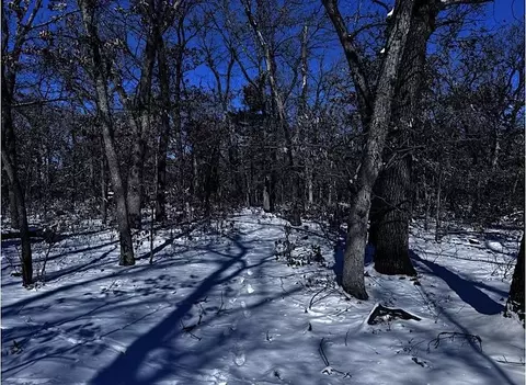 lot10 Bayview Ln, Lyndon Station, WI 53944