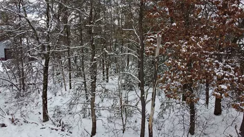lot261 Tomahawk Trl, Necedah, WI 54646
