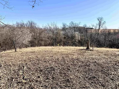 1 29 Acre Klein Brewery Rd, Mcgregor, IA 52157 photo 7