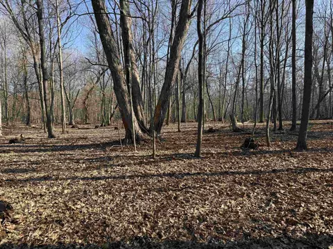 25 Acres Lerch Rd, Arlington, WI 53911