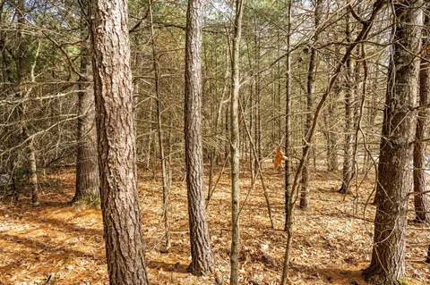lot38 S Badger Ln, Arkdale, WI 54613