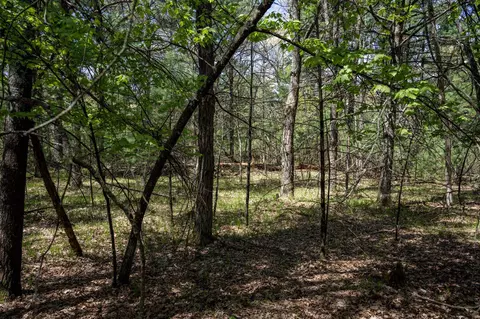 lot39 S Badger Ln, Arkdale, WI 54613