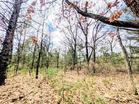 0 Fawn Dr, Grand Marsh, WI 53936