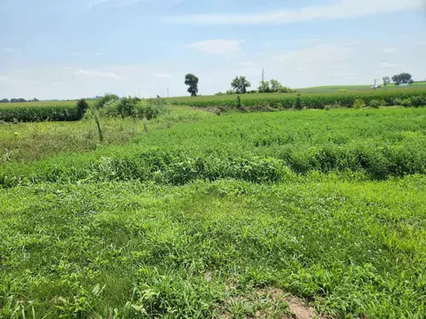 860 Valley Rd, Dane, WI 53529