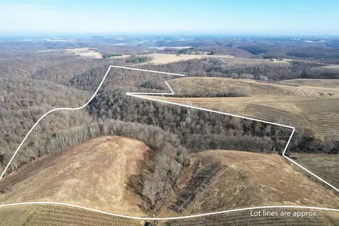 62 Acres State Highway 171, Gays Mills, WI 54631
