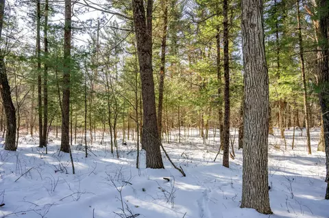 3 2 Acres County Road C, New Lisbon, WI 53950