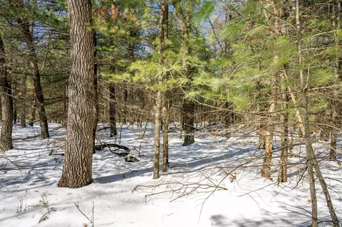 lot28 W 9th Ct, Wisconsin Dells, WI 53965