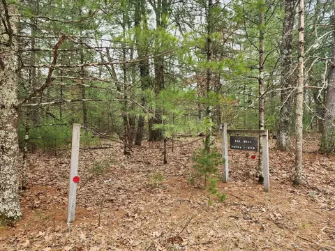 Dyke Avenue, Adams, WI 53910
