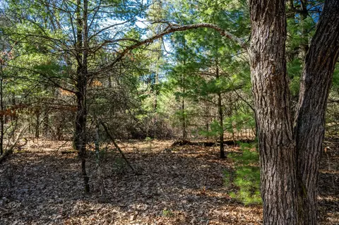 lot4 Morros Mile Rd, Necedah, WI 54646