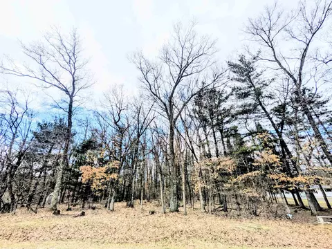 0 11th Ave, Friendship, WI 53934