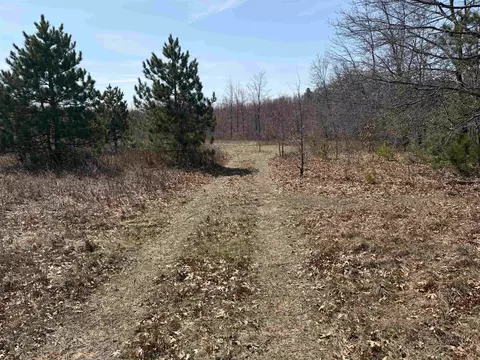 40 Acres Town Hall Rd, Lyndon Station, WI 53944