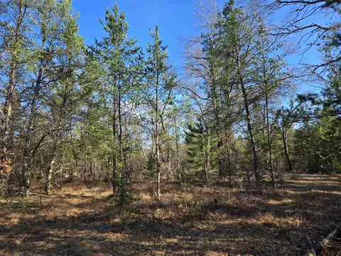 1 937 Acres Johnsburg Rd, Necedah, WI 54646