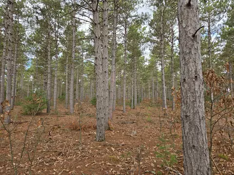 779 8th Ave, Hancock, WI 54943
