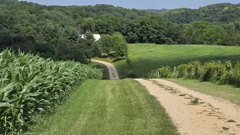 19767 County Hwy A, Richland Center, WI 53581