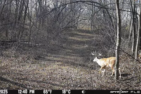 59 Ac State Hwy 80, Richland Center, WI 53581