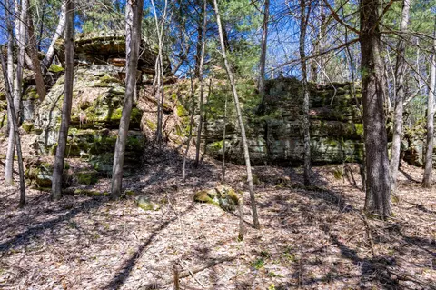 30 73 Ac County Road B, Grand Marsh, WI 53936