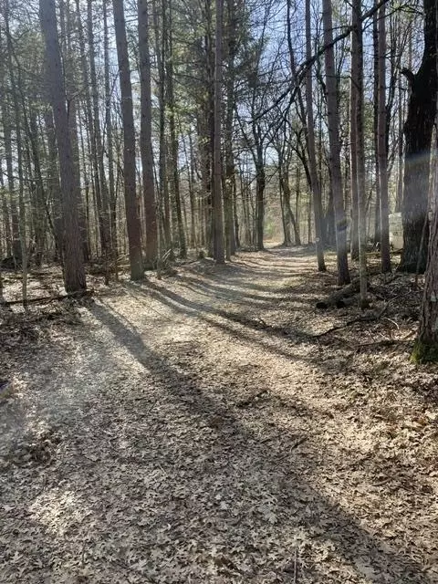 0 Forest Road 1637 Rd, Oconto, WI 54161