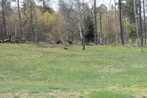 803805 Marlboro Ct, Nekoosa, WI 54457