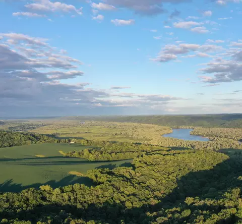 tbd 208 Acres Cottontail Ln, Wauzeka, WI 53826