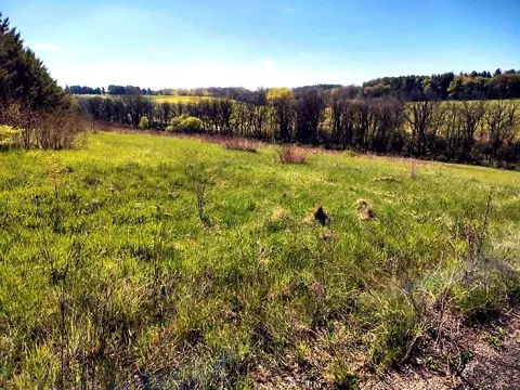 lot13 Holly Ln, Belleville, WI 53508