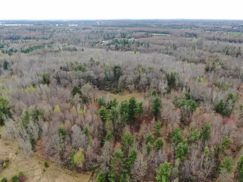 40 W Ac W Oakwood Dr Acres, Mosinee, WI 54455