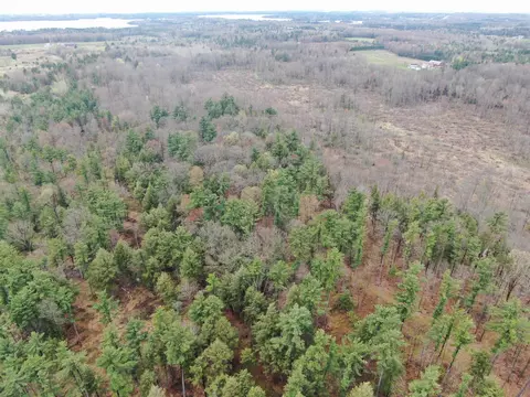 80 W Ac W Oakwood Dr Acres, Mosinee, WI 54455