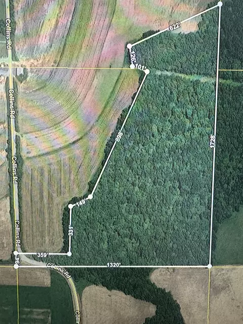 27 64 Acres Collins Rd, Mount Hope, WI 53816