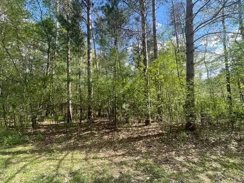 lot S 4 5 S Czech Ln, Friendship, WI 53934