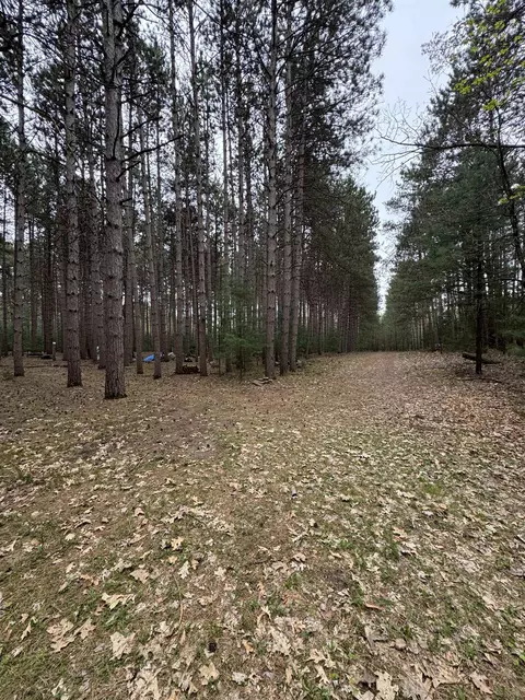 N2343 E Pine Circle, Redgranite, WI 54970 photo 13