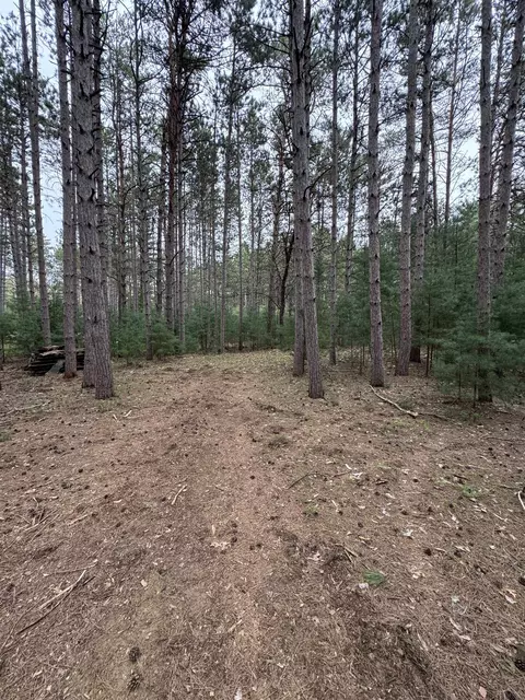 N2343 E Pine Circle, Redgranite, WI 54970 photo 5