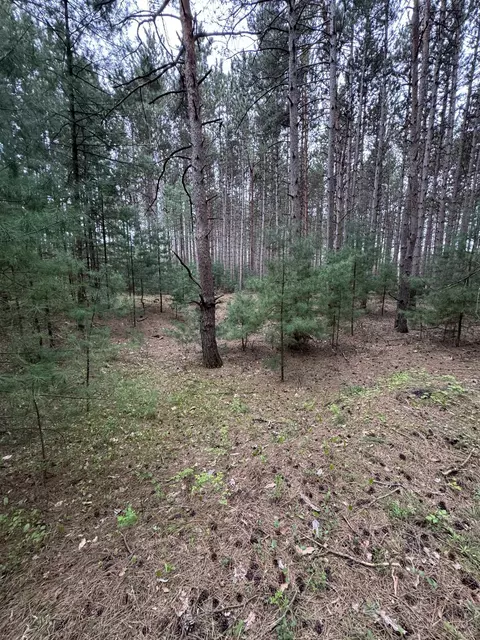 N2343 E Pine Circle, Redgranite, WI 54970 photo 7