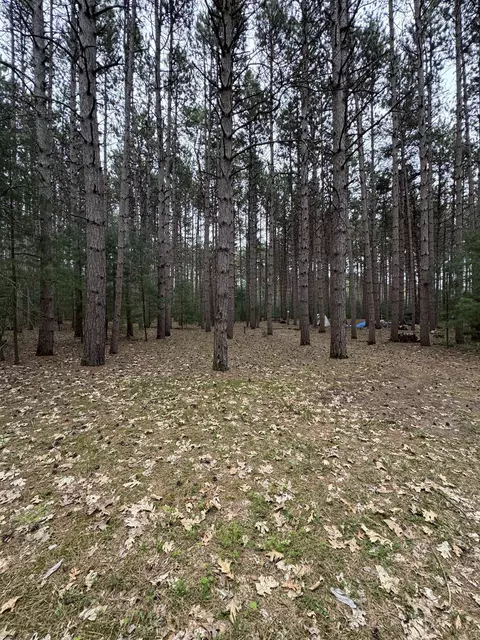 N2343 E Pine Circle, Redgranite, WI 54970 photo 12