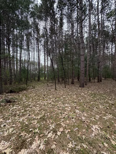 N2343 E Pine Circle, Redgranite, WI 54970 photo 11