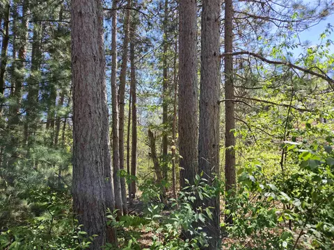lot204 Raven Dr, New Lisbon, WI 53950