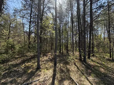 1 52 Acres Queens Way, Necedah, WI 54646
