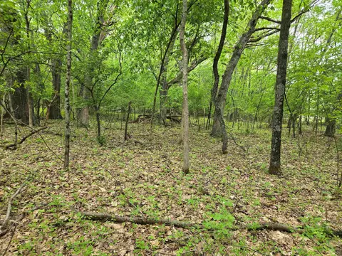 lot Oxbow Trl, Princeton, WI 54968