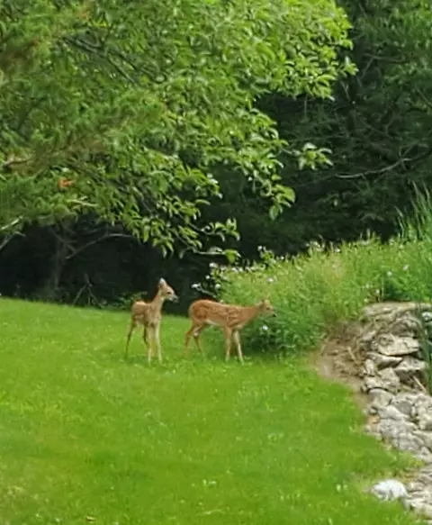 Other - n8081 Springer Road, Lake Mills, WI 53551 photo 12 of 22